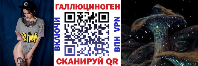 что такое наркотик  Калуга  Псилоцибиновые грибы Psilocybe 